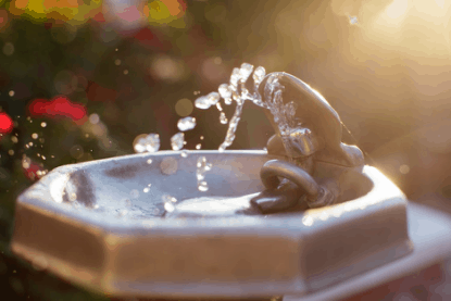 mineral water project